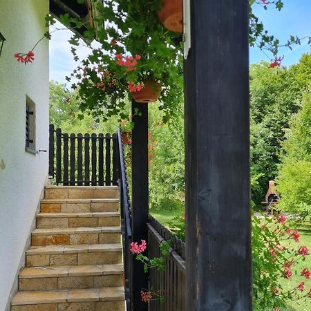 Apartman Poznanovic Apartment Rakovica Exterior foto