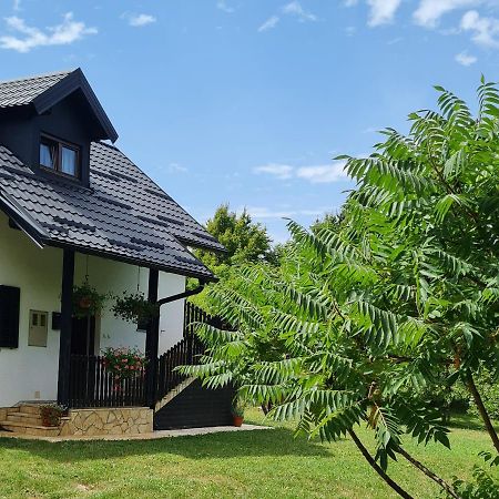 Apartman Poznanovic Apartment Rakovica Exterior foto